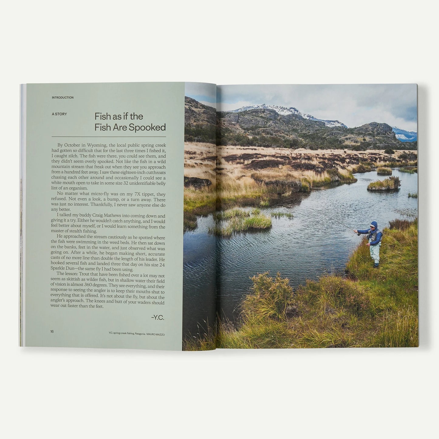"Pheasant Tail Simplicity: Recipes and Techniques for Successful Fly Fishing" (by Yvon Chouinard, Craig Mathews, and Mauro Mazzo) - US 5664