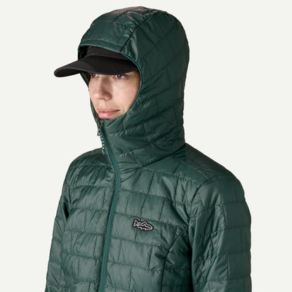 Women's Nano Puff® Fitz Roy Trout Hoody - US 0393
