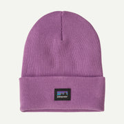 Brisk Purple