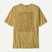 Limestone Yellow