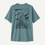 Blue Sage - Light Blue Sage X-Dye